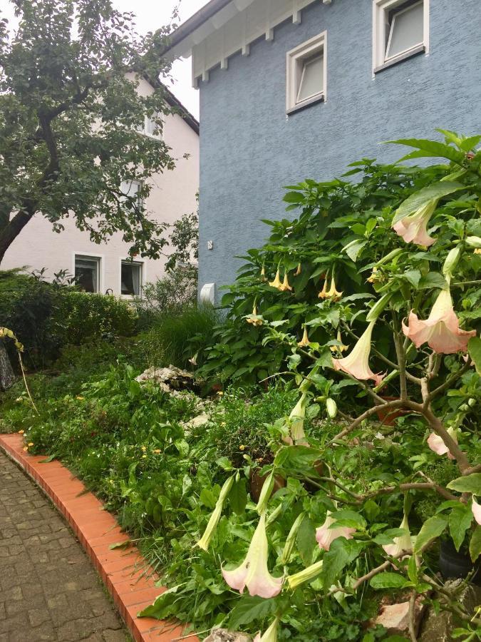 דירות Niederdorfelden Blaues Haus מראה חיצוני תמונה