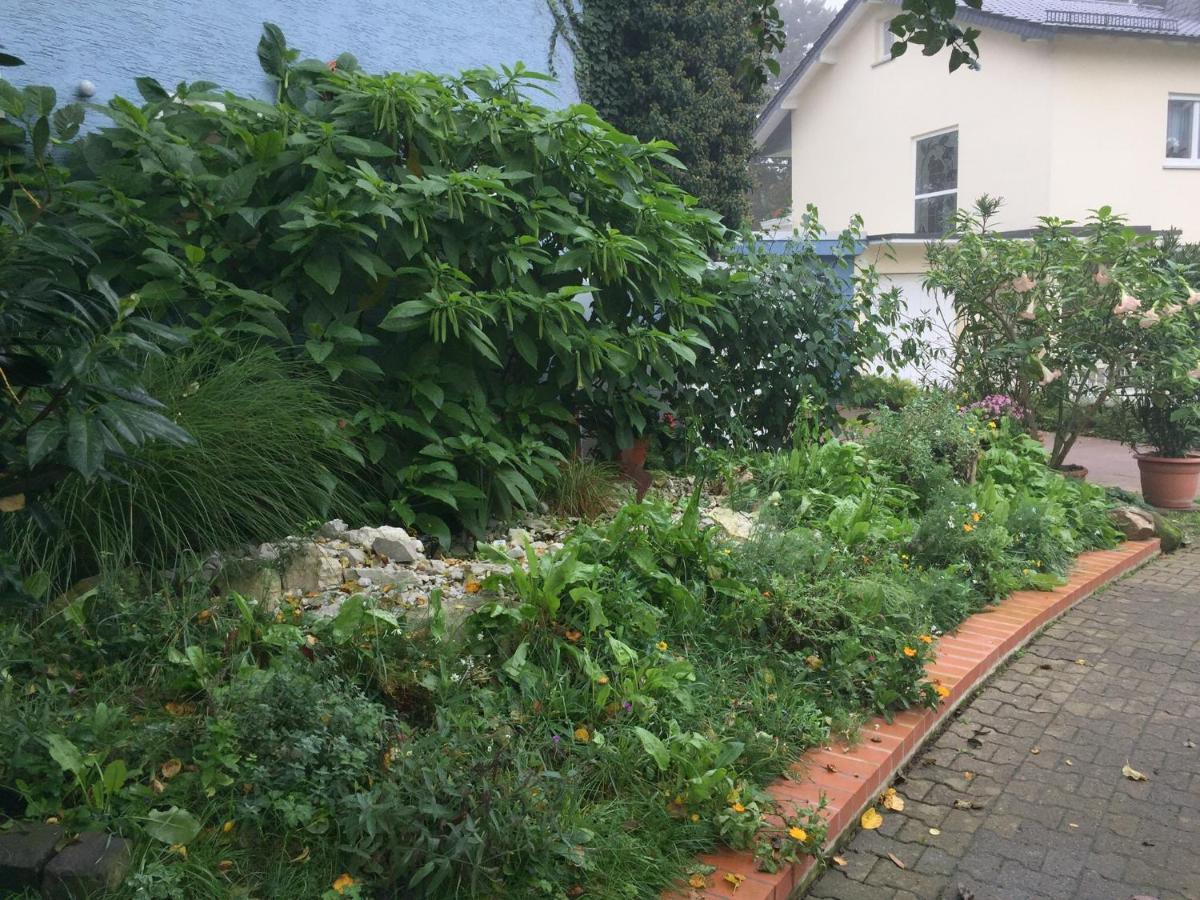 דירות Niederdorfelden Blaues Haus מראה חיצוני תמונה