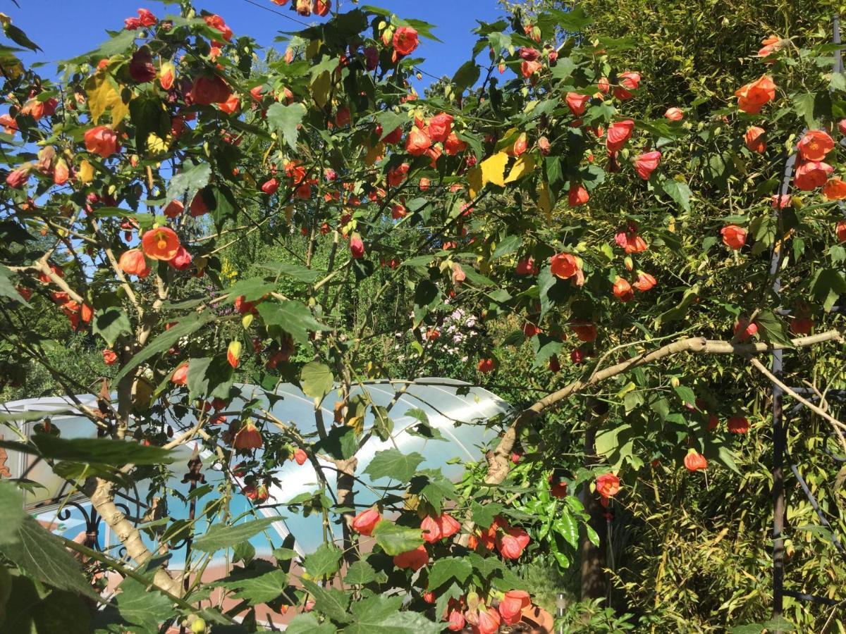 דירות Niederdorfelden Blaues Haus מראה חיצוני תמונה