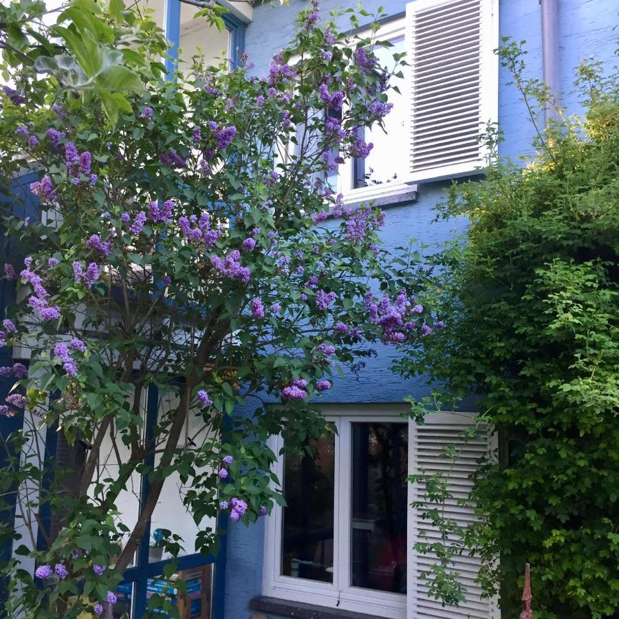 דירות Niederdorfelden Blaues Haus מראה חיצוני תמונה